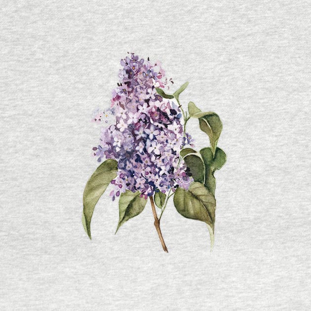 Lilac Branch by ShealeenLouise